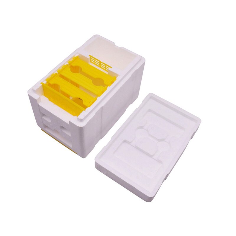 Incubadora de abejas para cría de abejas, 2 unidades por lote, bajo precio, longitud 241 x anchura 148 x altura 166mm, Apicultor: Default Title