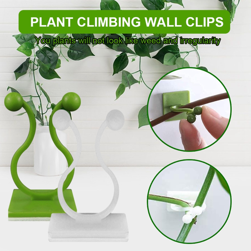 50pcs plante escalade mur vigne Clips boucle fixe crochet extérieur jardin vigne plante mur escalade auto-adhésif attache
