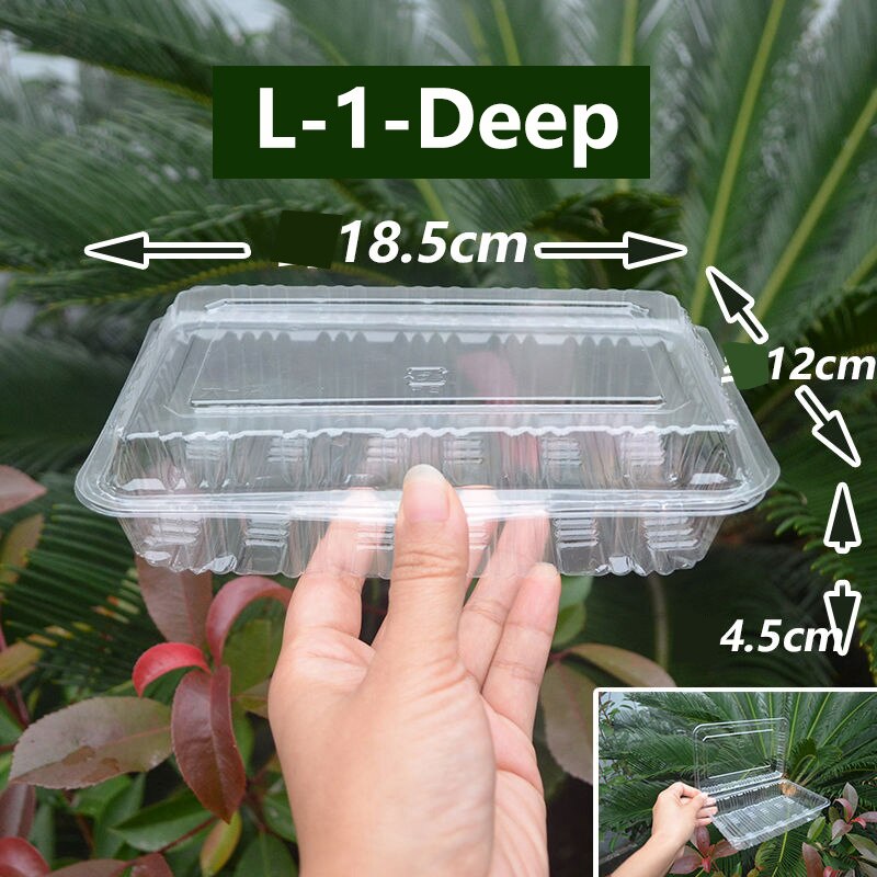 100Pack Disposable Clear Plastic Containers Transparent Box for Dessert Fruit Cake Salad Sandwiches Take Out Box: L-1-Deep