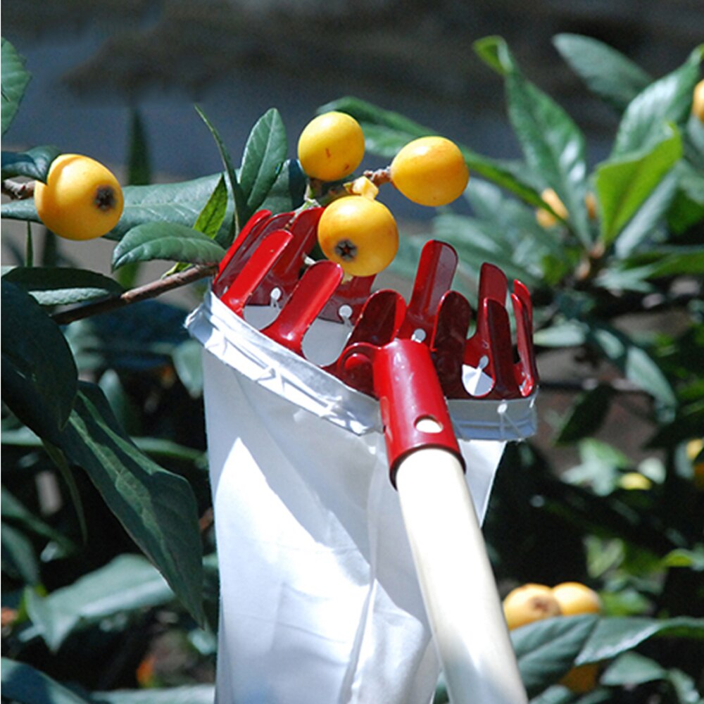 Fruit Picker Red Metal Hardware Outside Yard Hand Tool Device Farm Gardening Without Pole Pruning Tools