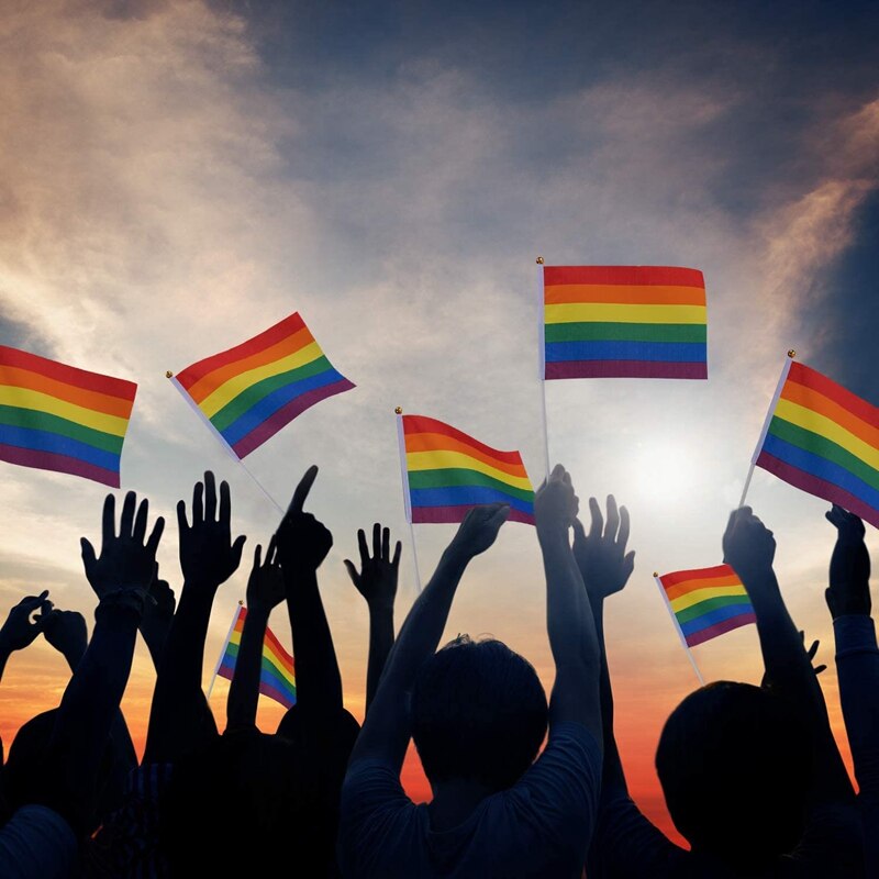 12 Pack Gay Pride Regenboog Vlag Set Grote Vlag Banners Bunting Vlaggen En Kleine Hand Vlag Met Sticks Voor Party parade
