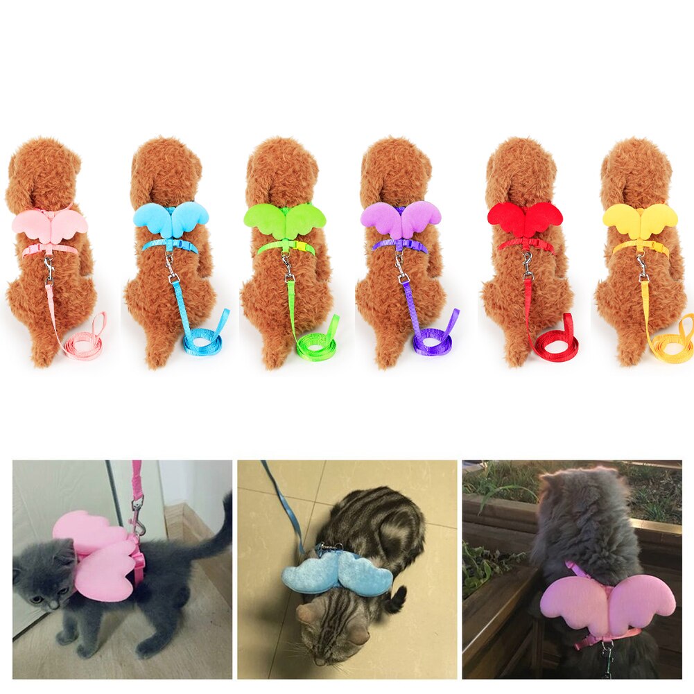 Schattige hond puppy engelenvleugel wandelriem harnas riem riem halsband verstelbaar
