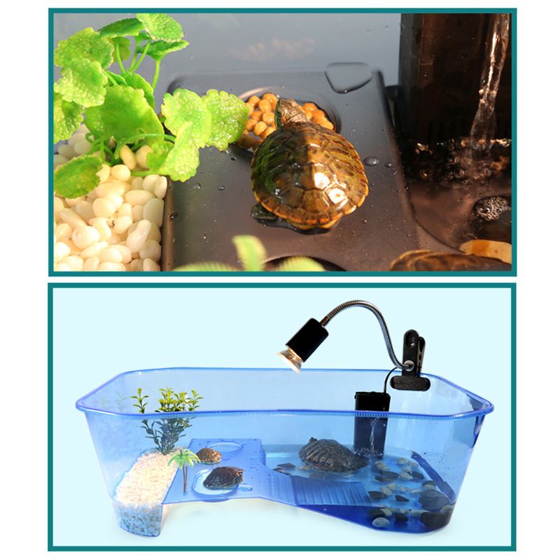Krybdyr vivarium kasse skildpadde skildpadde med basking rampe akvarietank opdræt mad værktøj