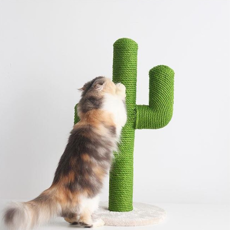 Kaktusformet kat klatring træ legetøj ridse dyr sjovt ridse post træ aktivitet beskytte møbler kæledyr hus