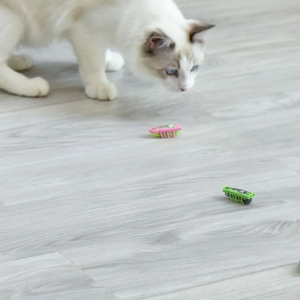 Jouet électrique drôle pour chat, Mini Robot d'évasion automatique, Vibration d'insectes, jouets pour chats, cafard à piles, coccinelle