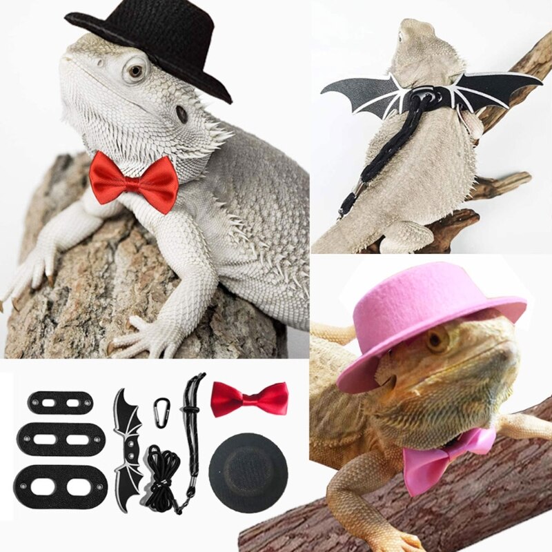 Eidechse Traktion Seil Hütte Fliege Weiche Leder Reptil bärtig Drachen nutzbar machen Leine Halloween Kostüm Kleidung