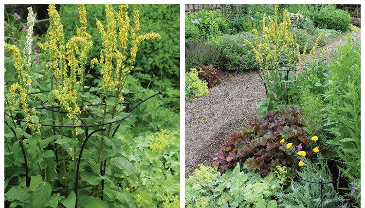 Boeket Type Plant Beugel Smeedijzeren Klimmen Bloem Frame Ondersteuning Hortensia Geschikt Voor Hydrange