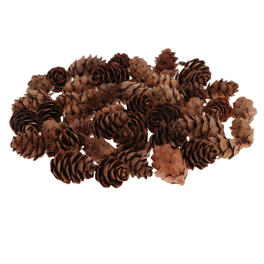 Natuurlijke Bruin Dennenappels-Ca. 60 Stuks Van Diverse Sized Dennenappels Val En Kerst Kom Filler Ambachten