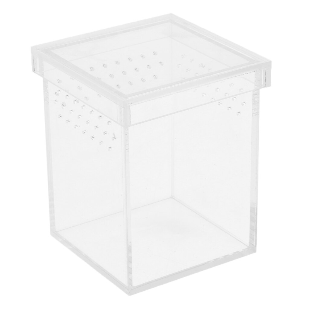 Acrylic Reptile Turtle Tank Insect Spiders Breeding Box Tortoise Terrariums