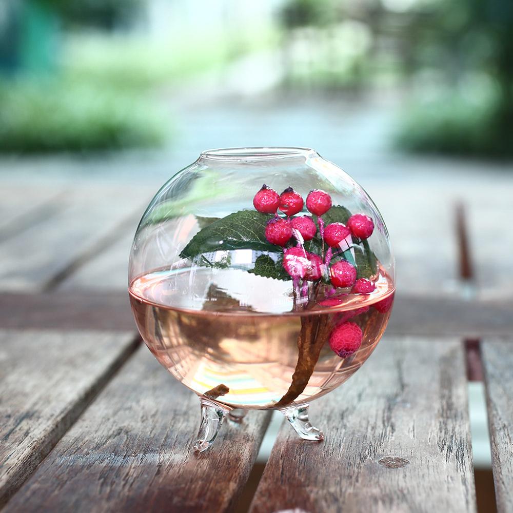 Vase en verre transparent Terrarium | Boule transparente, Pots de plantes, bouteille de réservoir mural, conteneur de fleur hydroponique, décor de jardin pour maison bricolage