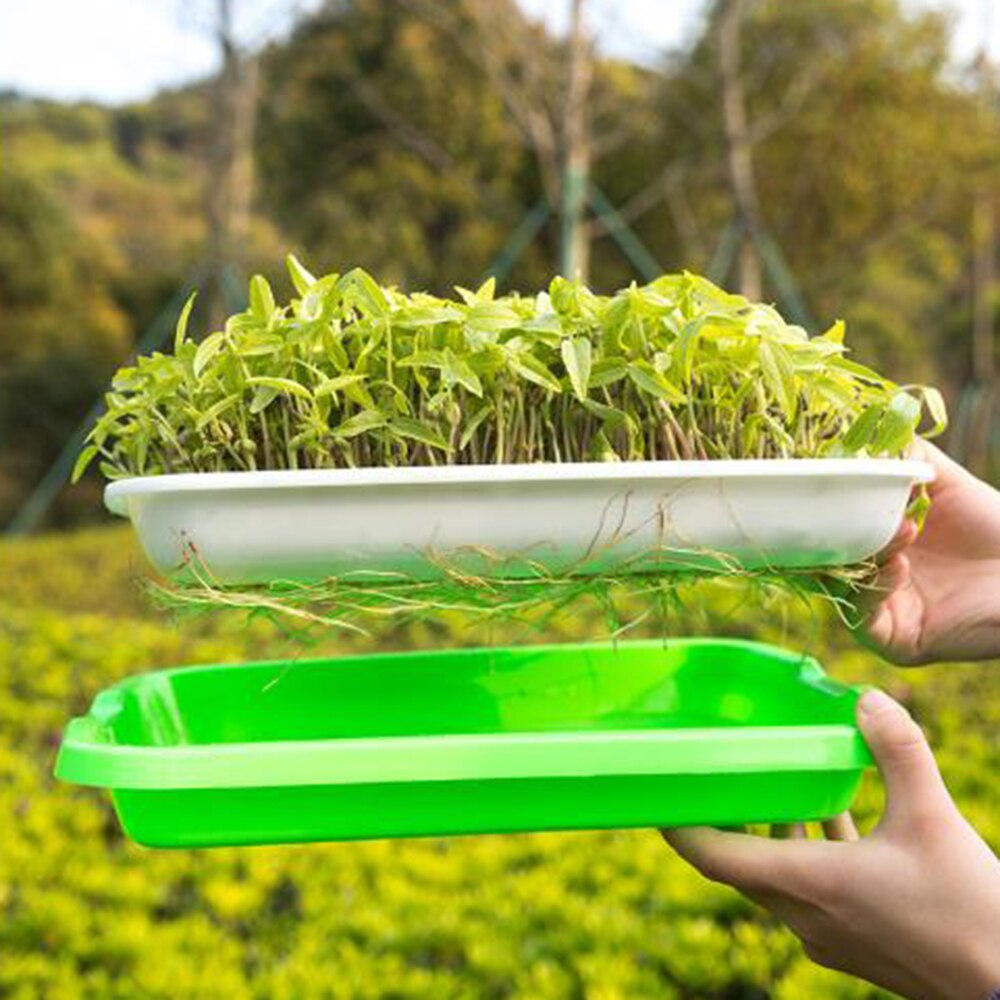 Plateau de Germination de graines 2 couches | Plateau de Germination de graines, Kit de semis de Micro verts, plateau de plantation + fond de