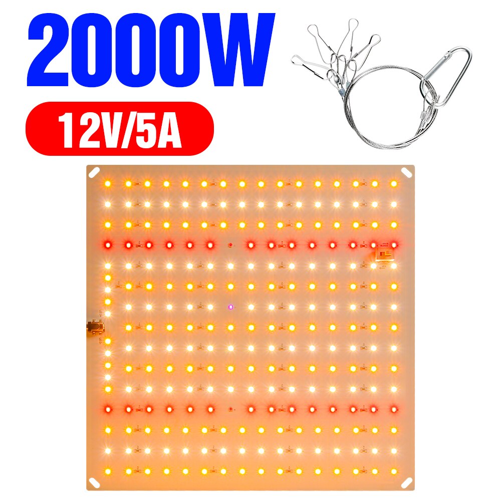 Lámpara Phyto de espectro completo para cultivo de plantas, luz LED de tablero cuántico para invernadero, tienda de cultivo, luces de plantación, 2000W, 3000W, 2835 W: 2000W 12V 5A / AU Plug