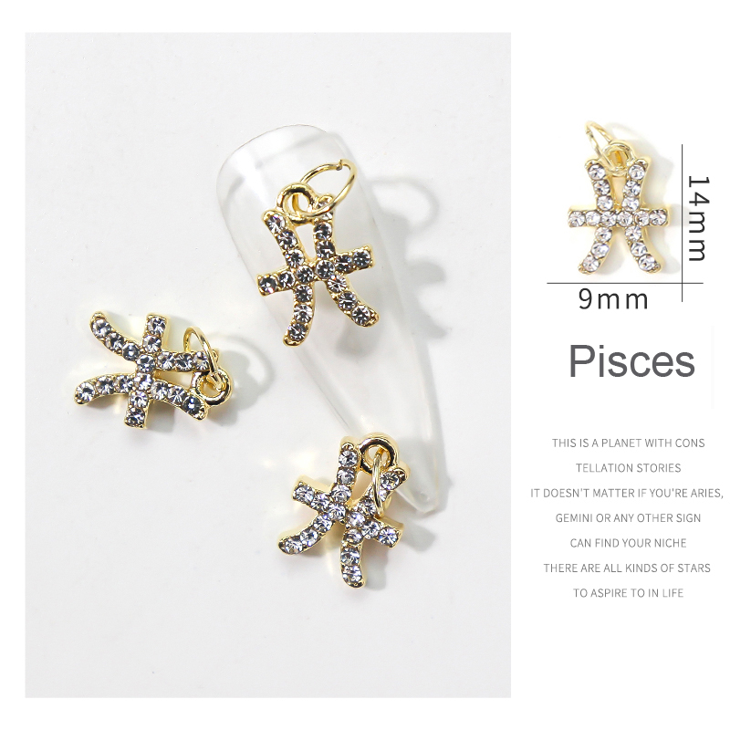 12 Personal Zodiac Nail Piercing Charm Star Sign Trendy Dangle Pendants Constellation Hoop Unique Heart Nail Pendants Charm 10pc: Pisces