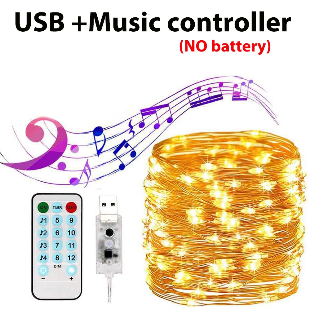 USB Led Bluetooth Fairy Lights Copper Wire LED String Light for Home Wedding Year Party Atmosphere Decoration Lights: Music controller / 5m