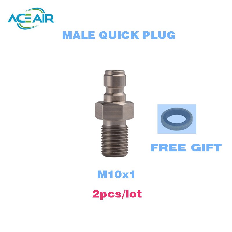 Hogedruk snelkoppelingen vrouwelijke plug roestvrij staal 4500 psi  m10 1/8 npt 1/8 bspp 2 stuks/lot: Man  m10 2 stuks