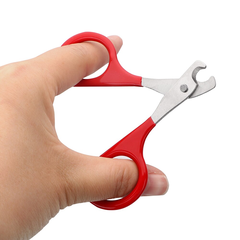 Candure professional claw scissors for dogs and cats with nail file ... Best claw clippers for dogs