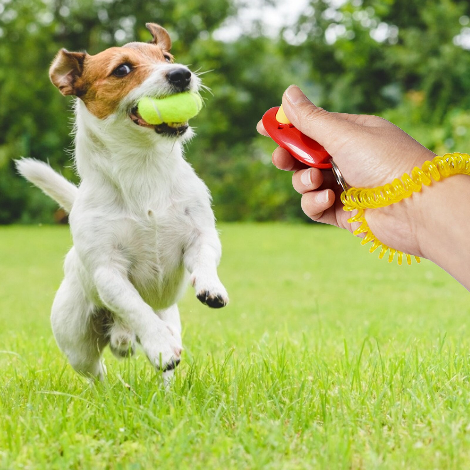 Doggy Clicker Pet Dog Training Clicker Animal Training Clickers For Dog Puppy Stop Barking Training Tool Pet Products Supplies