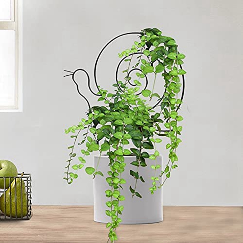 Klimhulp van roestvrij staal voor klimplanten, klimhulp, complete set, draadspalier voor klimplanten met wandhouders en 3 mm stalen kabel voor tuin, muur, omheining (12 meter 8 kruisspanhouders