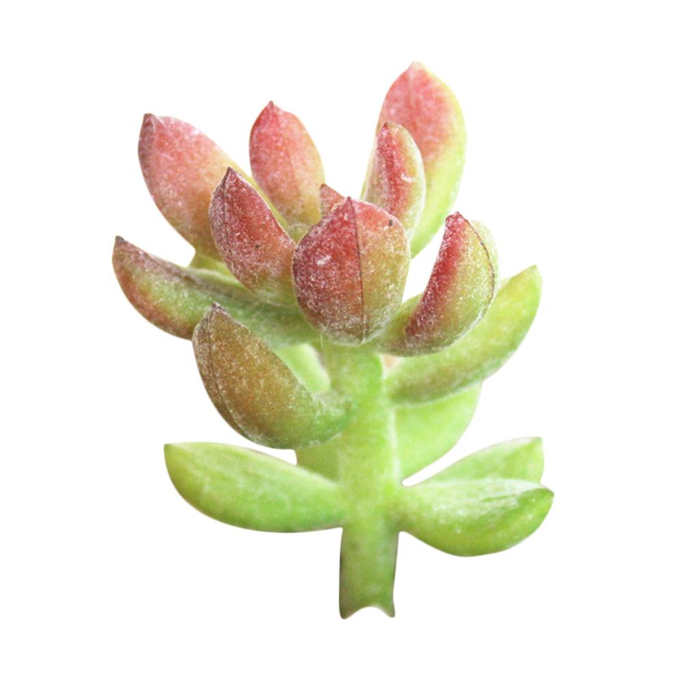 1pc miniatyr sukkulenter simulering mini diy plast kontor dekor hage hjem delikat bonsai blomster kunst tilbehør ornament: B
