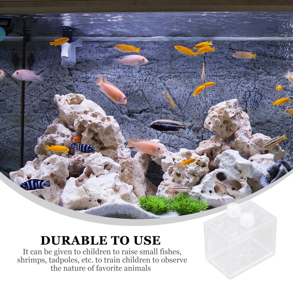 Kit de acuario con luz LED, acrílico transparente, , Mini acuario, acuario, camarón, peces tropicales, Tadpole, 1 ud.