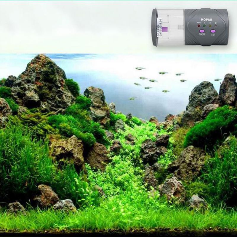 Aquarium Automatic Fish Feeder, Daily Double II Battery-Operated Automatic Fish Feeder