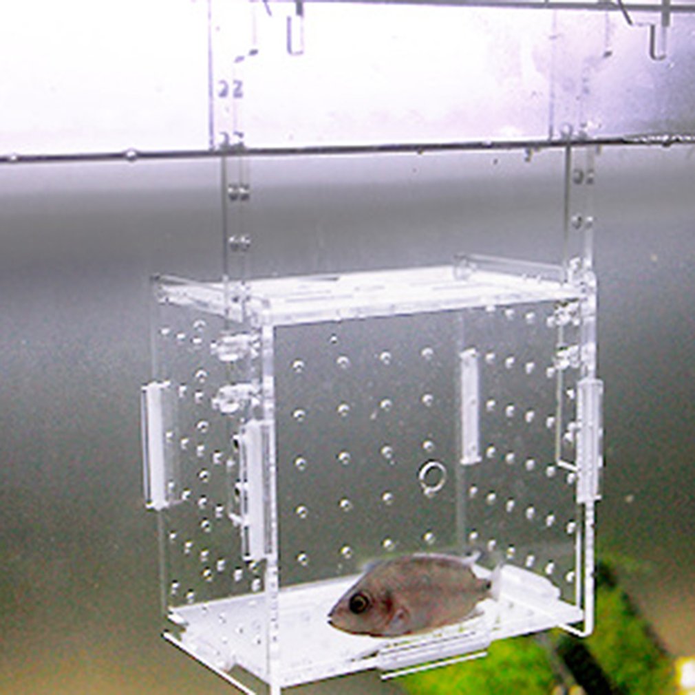 Aquarium Transparent Aquarium Fish Fry Incubator Breeding Box Production Box Single And Double Grid Isolation Network