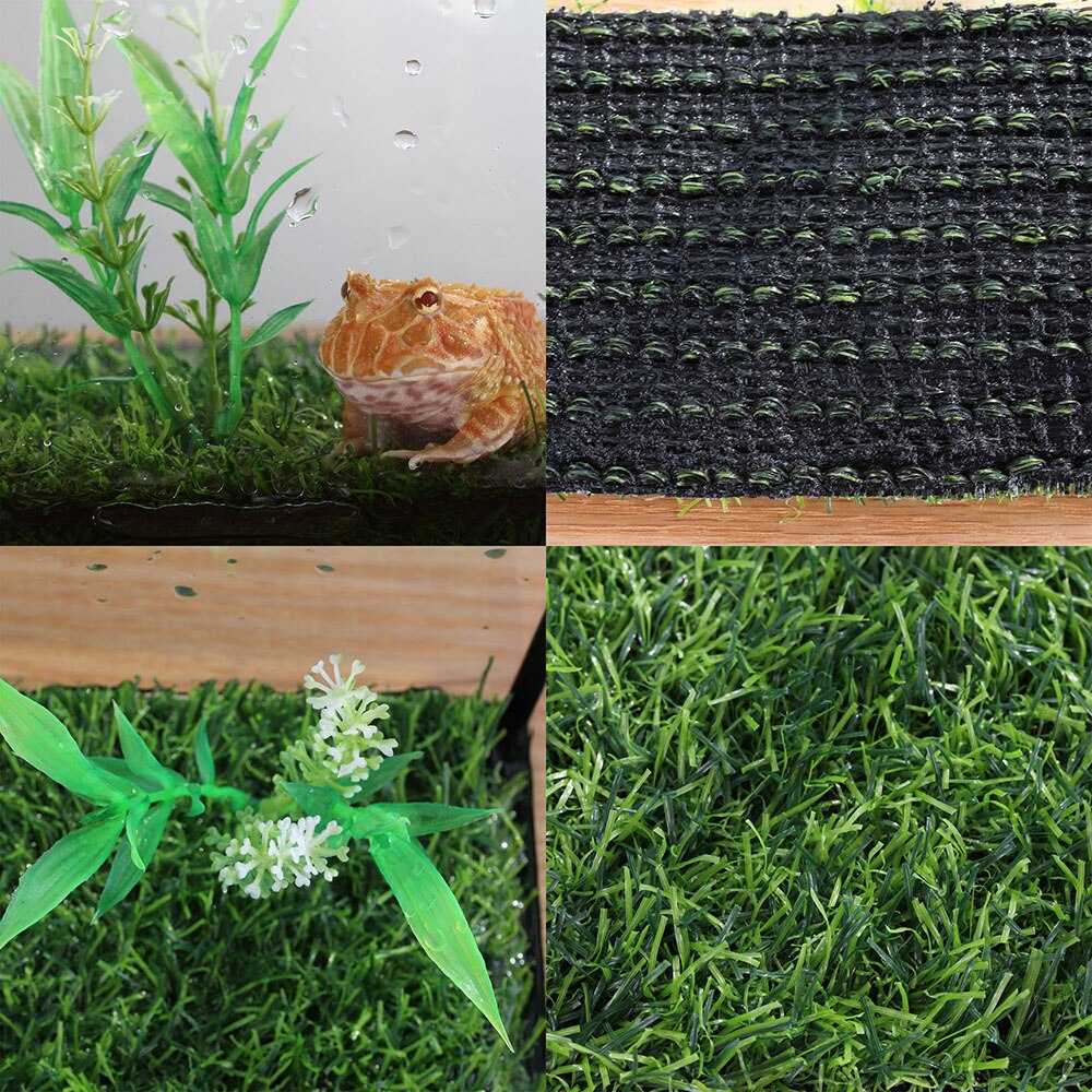 Ge gekko habitat skildpadde akvarium snegl beholder fiskeskål eremit krabbe hus edderkop beholder tarantula boks insekt