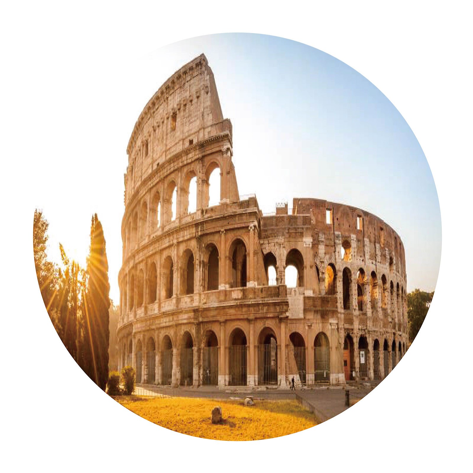 500 Pcs Adult And Ahildren's Intellectual Development Puzzle Toy Pre-school Magination Intellectual Educational Toy: D