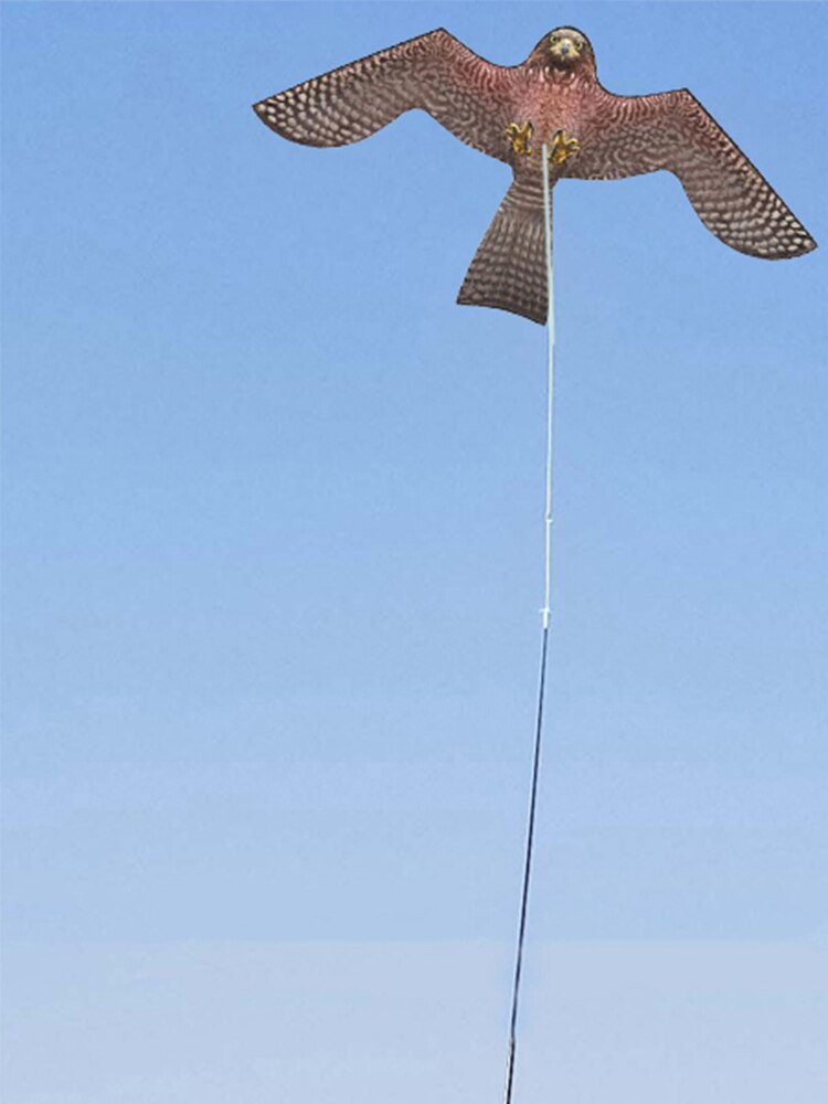 Cerf-volant aigle Durable, jouet répulsif d&#39;oiseau, épouvantail, appât de protection pour le jardinage et l&#39;agriculture