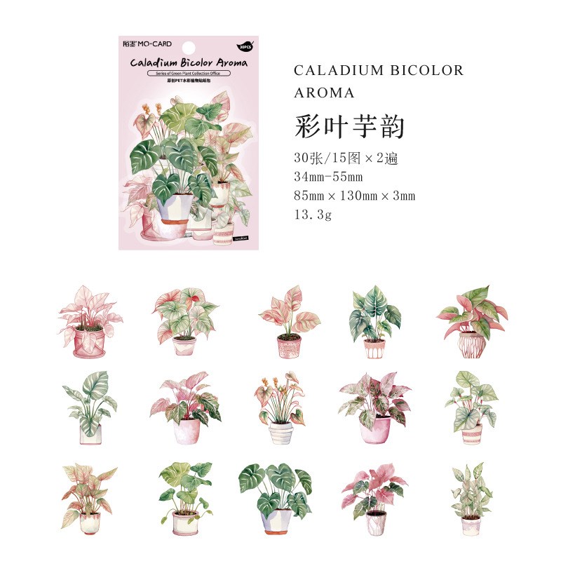 Juego de 30 Uds de pegatinas de hojas de helecho botánico, pegatinas transparentes de plantas Vintage para mascotas, pegatinas impermeables para álbum de recortes para decoración de diario DIY: Blanco