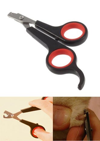 clipper Pet claw toe tool trimmer nail scissor animal paw parrot gerbid bird cutter dog shear Rabbit grooming toenail cat