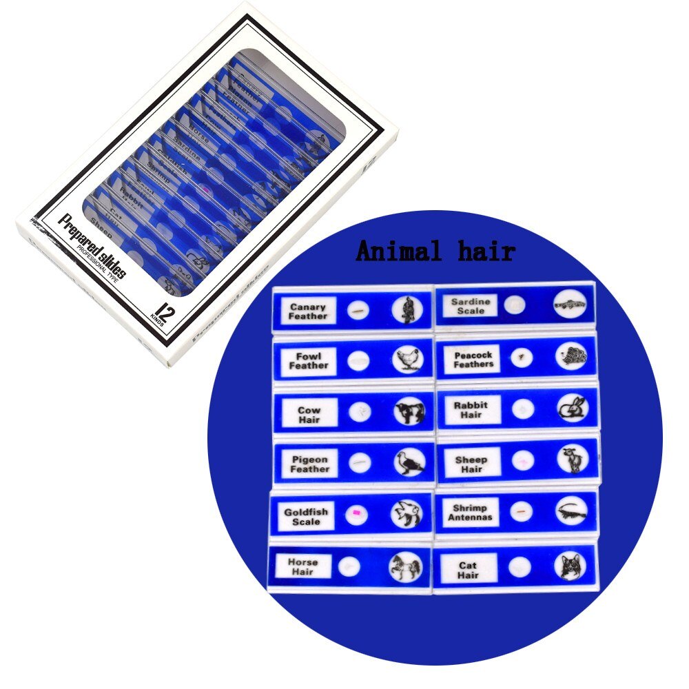Chanseon 12pcs/set Plastic Microscope Slides Biological Specimen with for Children Student Microscope Enlighten Education: Blue
