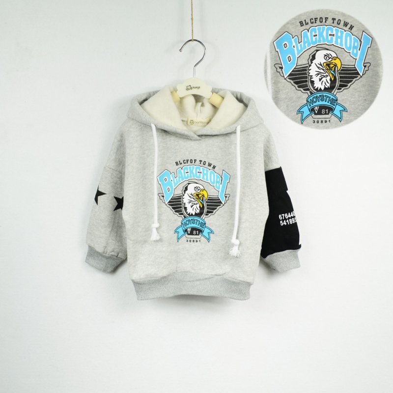 Pull à capuche à manches longues pour garçon, motif aigle, en cachemire, haut pour enfant