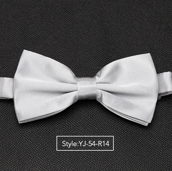 Herren Fliege Hochzeit Krawatten für Männer Frauen Solide Schmetterling Krawatte Krawatte Männlichen Kleid Hemd Zubehör Bowtie: YJ-54-R14