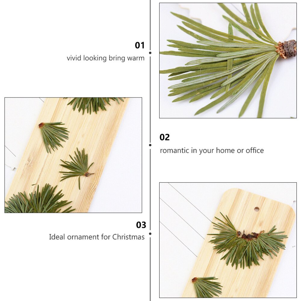 24Pcs Mooie Natuurlijke Groene Diy Ambachten Plant Sample Dennennaalden Bladeren Handgemaakte Accessoires Voor Thuis Hetel Telefoon Case