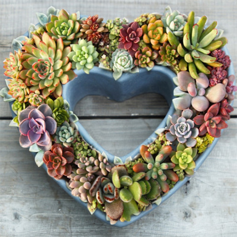 Ik hou van jou vormige oppervlak kaarshouder mal cactus bloempot vaas mal diy siliconen beton cement mal