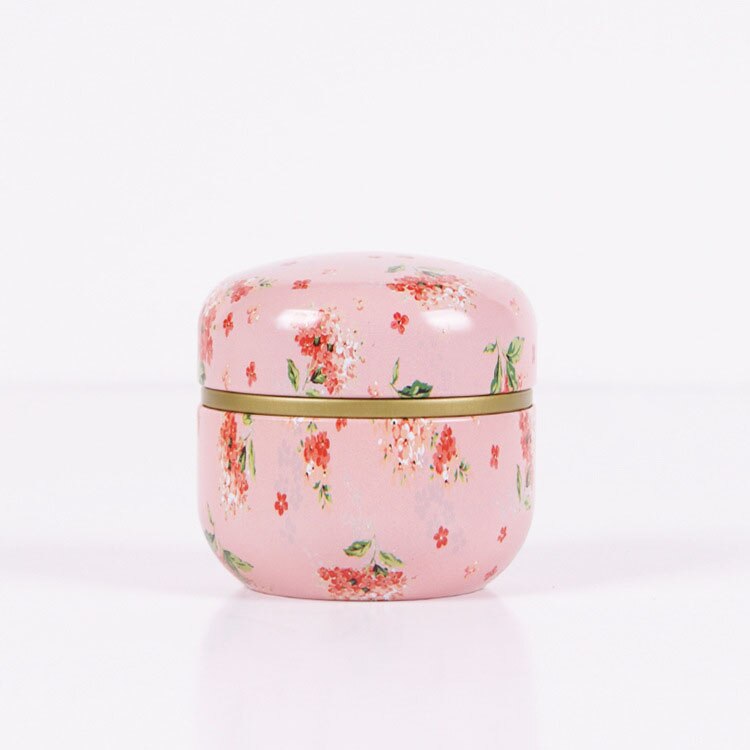 Tea Tin Box General Tinplate Household Sealed Tea Packaging Box Carrying Small Tin Cans for Japanese Scented Tea: Style 5