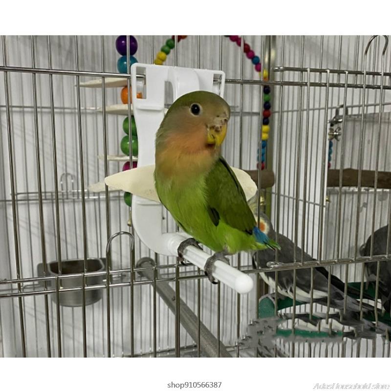Soporte de comida de pájaros para mascotas, Clip para alimentación de loros, frutas y verduras, dispositivo alimentador de jibión, Pin, abrazadera, accesorios para jaulas de pájaros,