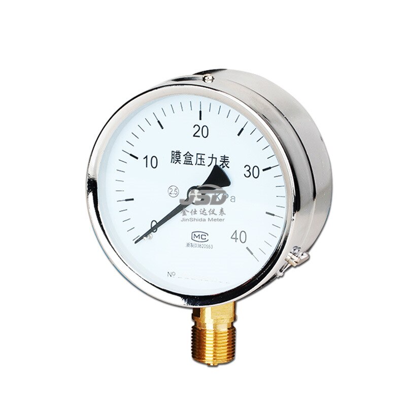 Stainless steel diaphragm pressure gauge YE100BF Axial stainless steel diaphragm pressure gauge diaphragm pressure gauge