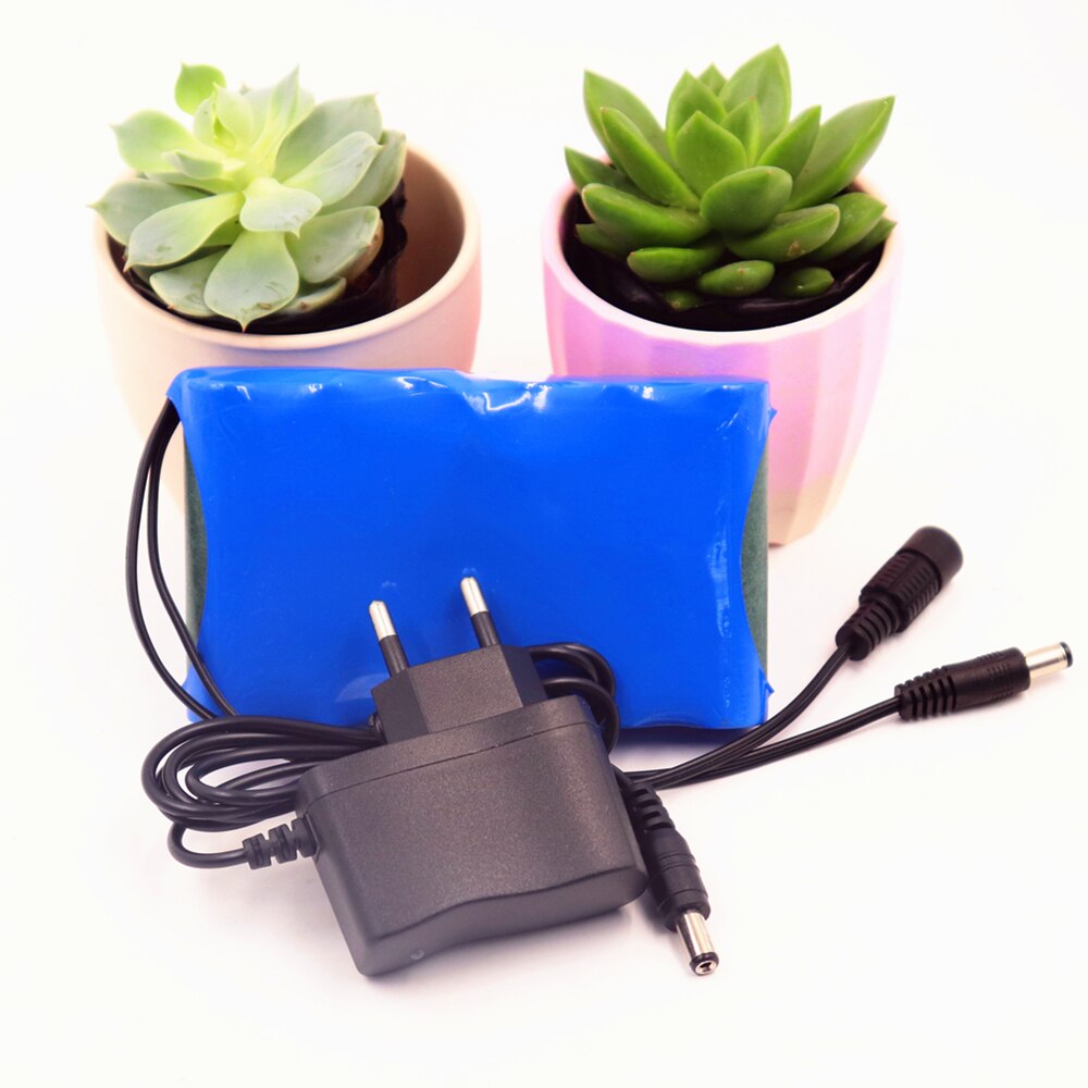 Lucky 12V Lithium Battery Portable Rechargeable Battery DC 15000mAh Battery Pack with 12V Charger