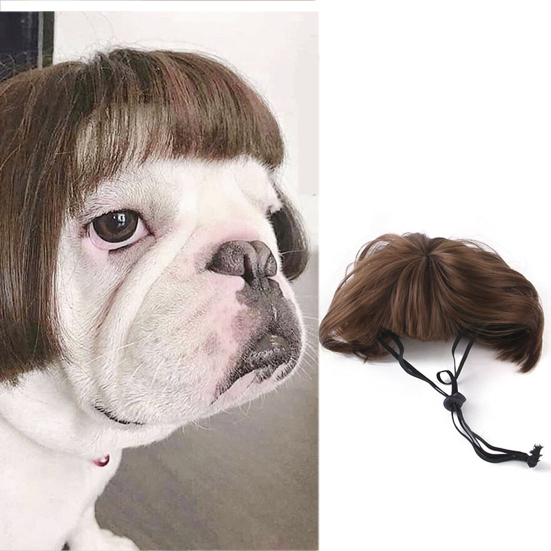 Huisdier Pruiken Cosplay Props Hond Kat Cross-Dressing Haar Set Fotografie Grappige Rekwisieten Hoofdaccessoires Prank Dierbenodigdheden Kostuums DIY: GRIJS