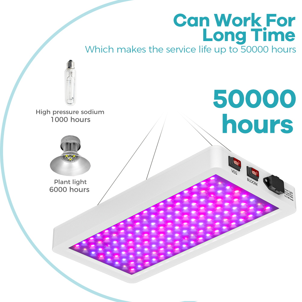 Pełne spektrum światła LED do uprawy roślin 500W BLoom/VEG 2 tryby hydroponiczny namiot szklarniowy pudełko na wzrost lampa do uprawy sukulentów owocowych