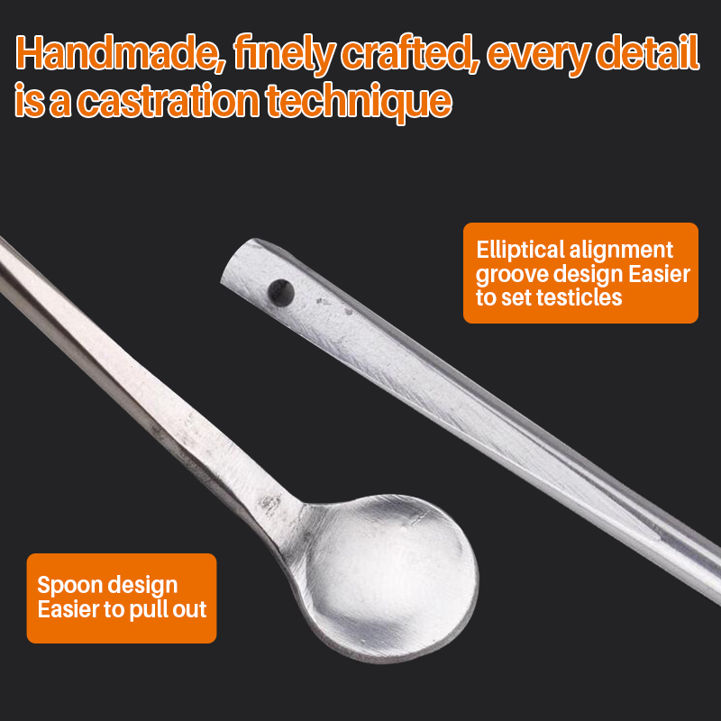 1 ensemble d'outils de casttration en acier inoxydable, grand poulet bébé poussin rapide, nouvel outil de casttration, couteau, outils de ferme de volaille