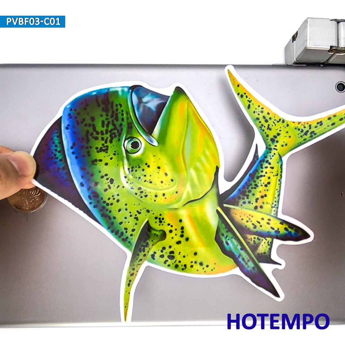 20cm, Pegatinas de peces marinos grandes, Delfín Común, Pescador de Viajes de Pesca, para Barcos, Portátil, Equipaje, Moto, Coche, Skate, Peceras, Cristales, Ventanas, Paredes, Pegatinas impermeables