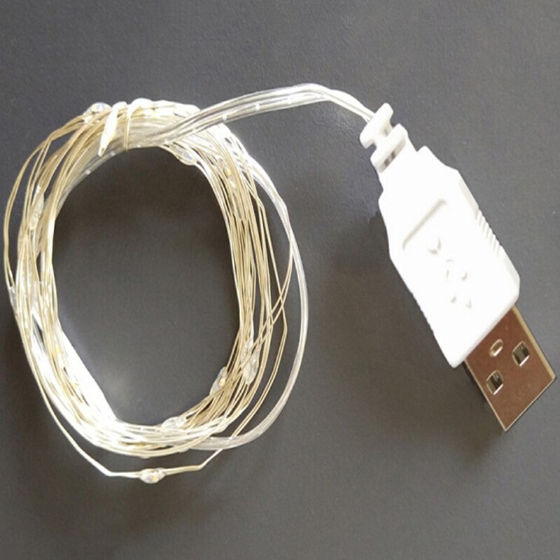 2M 20Led 3M 30Led Usb Operated Mini Led Copper Wire String Fairy LED Lights: 2M Warm White