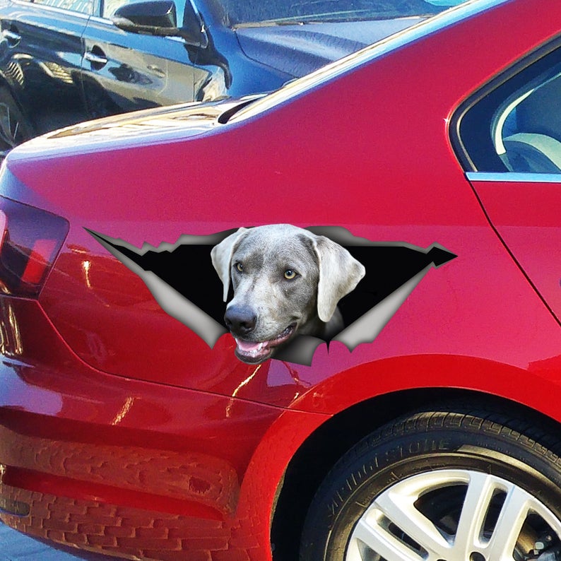 Calcomanía de plata para perro, pegatina de laboratorio de plata, imán para perro, para portátil