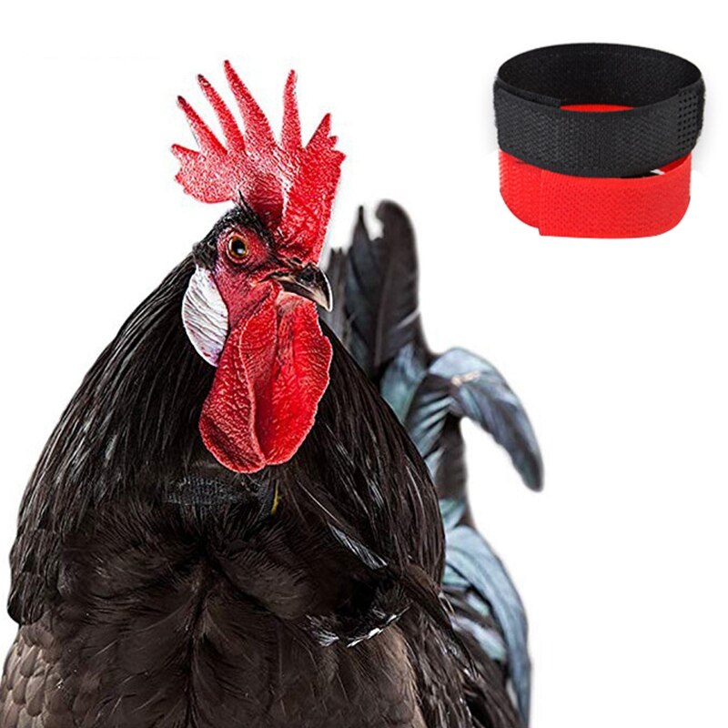 20Pcs Chicken Collar Anti-Hook Noise Free Neckband Collars Supplies for Chicken Ducks Geese and Other Poultry Durable