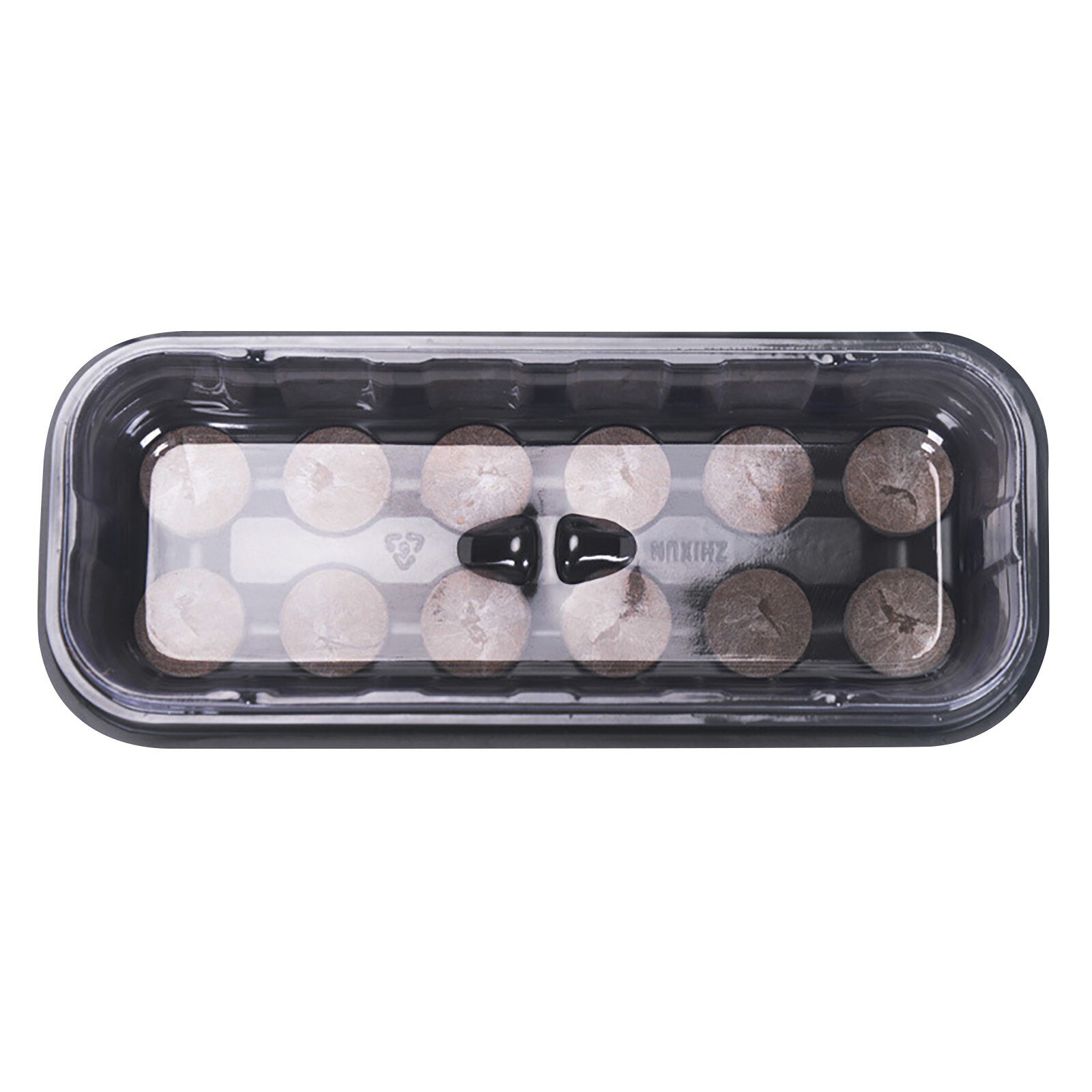 Long Sowing Seedling Tray With 12 Gr id Seedling Block Gardening Seed Box Home Gardening Seedling Tray