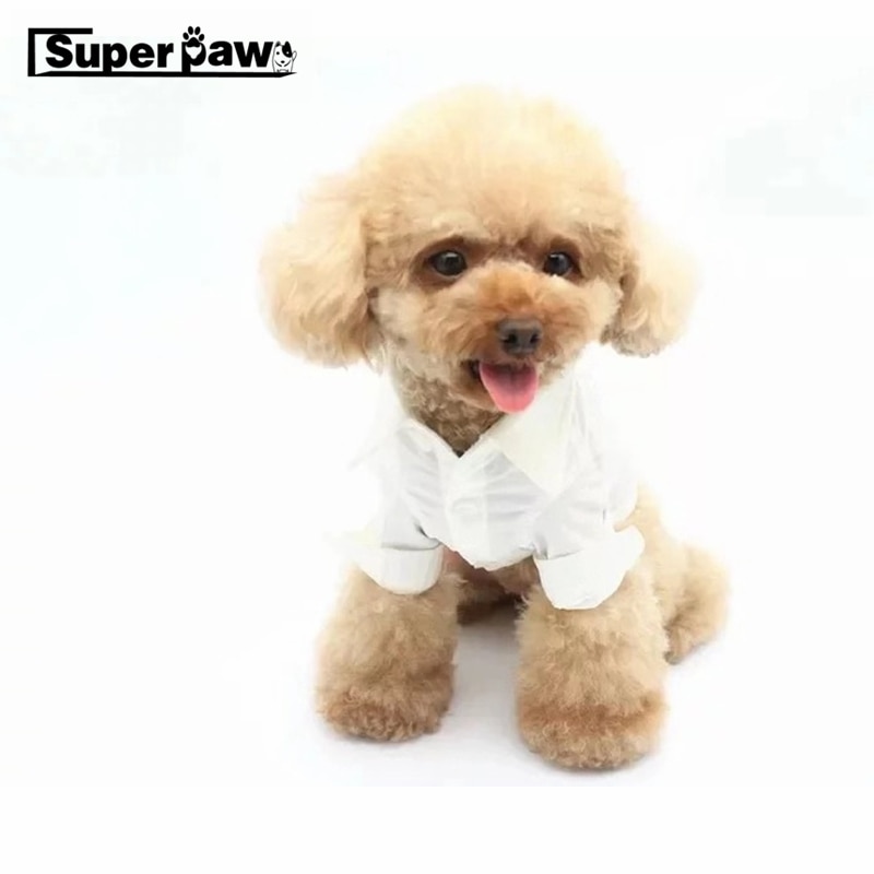 Hondenkleding voor kleine en middelgrote puppy's, jassen, buitenkleding, franse bulldog zlc 12