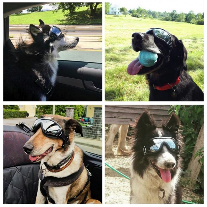 Haustier Hund Sonnenbrille UV Schutz Winddicht Anti-brechen Brille Haustier Auge Tragen Hund Schwimmen skaten Gläser Mithelfer